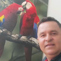 josecarlosmaciel84gmail