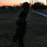 original sound - bebecita_818