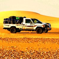 alzem250