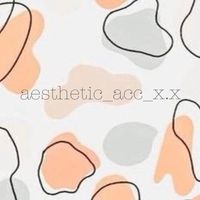 aesthetic_acc_x.x