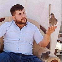 vedat063