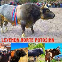 sonido original