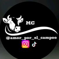 mc