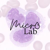 micro_lab_