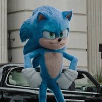 cinos_antihedgehog