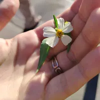 original sound - maria68754