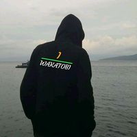 suara asli - Ariadinla03