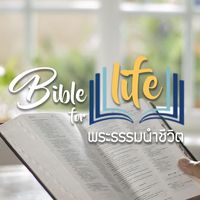 original sound - VOP.TikTok