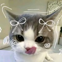 yurttk_editz