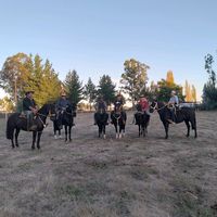 club_de_barrileteboroa