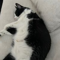 mostcoolestpersonever7