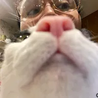 ที่แห่งนี้