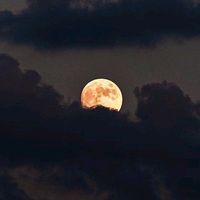_apaixonada_pela_lua