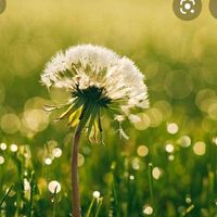 original sound - Musicholic_85