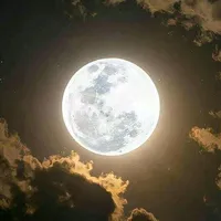 original sound - lev0324