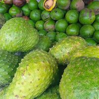 suara asli - Siti buah