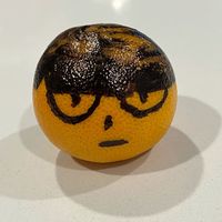 mandarina_consciente