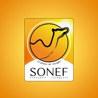 soneftvniger