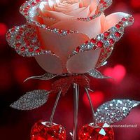 saronrose39