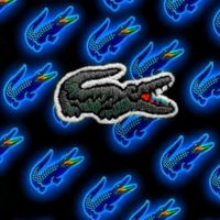 ryanvinicius8990