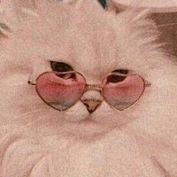 userrr170807
