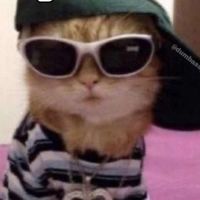 ..pr1vate.acc0unt