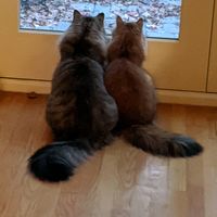 seba.and.ivy