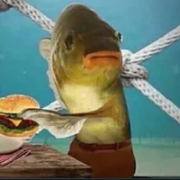 original sound - tonystatovci