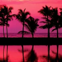 original sound - salsasprecisas