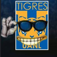 tigres_fanpage04