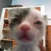 im a human beingggg