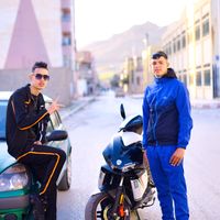 stayfi2022dz