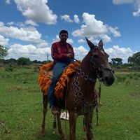 miguelzin_117