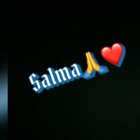 salmat178