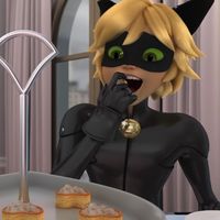 chats.macaroon