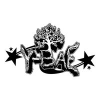ybae31