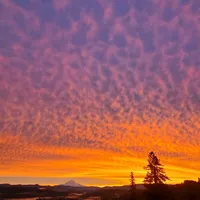 original sound - healthygirlera89