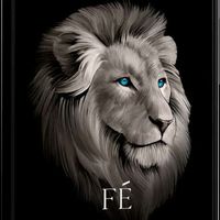 motivar_fe