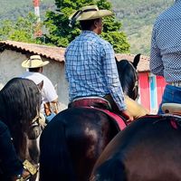 salvadorhernandez546