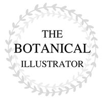botanical.illustrator