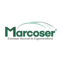 marcoser.ro
