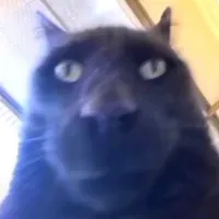 can...I...go...to...the....washroom....pleeaaseee