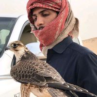 الصوت الأصلي