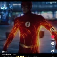 theflashedits2014