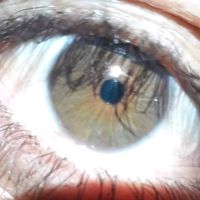 annabelleyangelelgato