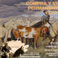 ventadecaballosecuador