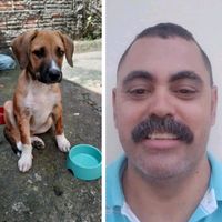 wagnerapareadodaderio