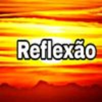 reflexaonotiktok.com.br