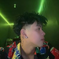 snied_