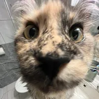 original sound - miriam_00001